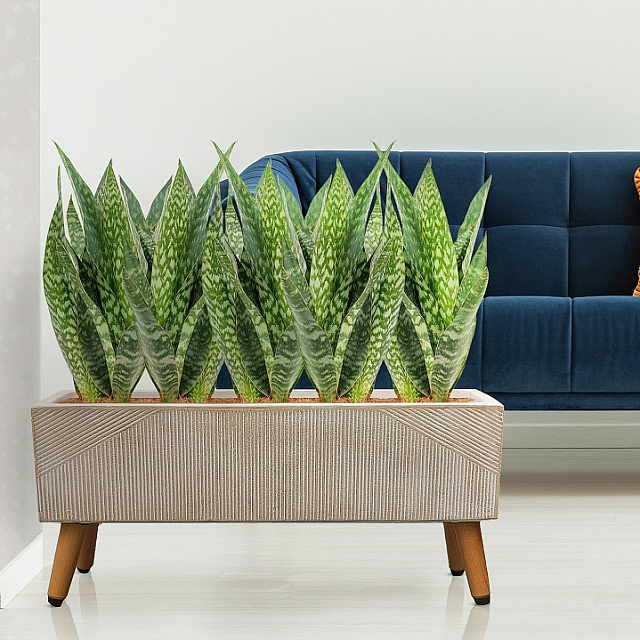 Кашпо Idealist Lite Урбан напольное прямоугольное с подставкой 65 Цвет: бежевый 