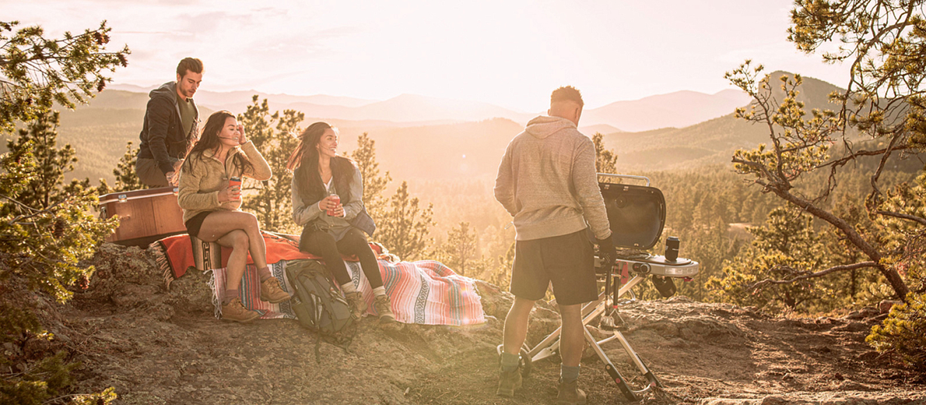 гриль газовый на подставке weber traveler