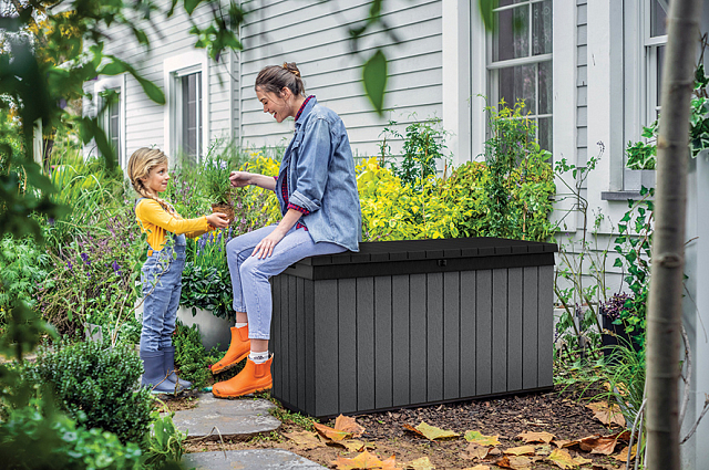 Сундук Keter Darwin Box 570 л графит 