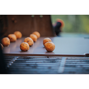 Камень для выпечки Weber Crafted для приготовления пищи Камень для выпечки Weber Crafted для сада