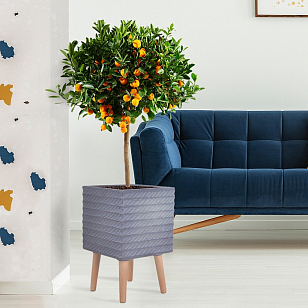 Кашпо Idealist Lite Таун Куб напольное с подставкой 30 Цвет: антрацит, уличное оборудование