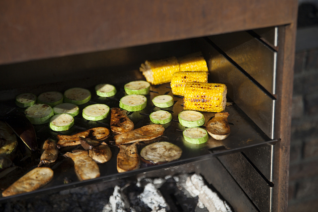 Дровяной гриль NOX BBQ 01