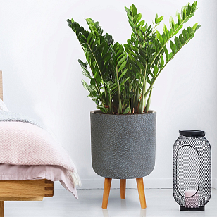 Кашпо Idealist Lite Урбан напольное круглое с подставкой D63 Цвет: антрацит, уличное оборудование