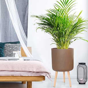 Кашпо Idealist Lite Урбан напольное круглое с подставкой D63 Цвет: кофе, уличное оборудование