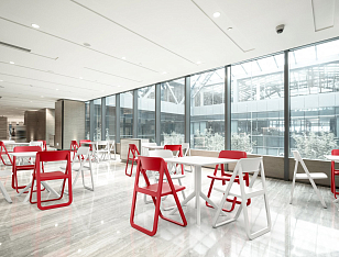 Стул Siesta Contract Dream Цвет: белый, садовая мебель