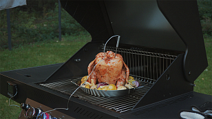 Ростер для курицы Primeliner для приготовления пищи Ростер для курицы Primeliner для сада