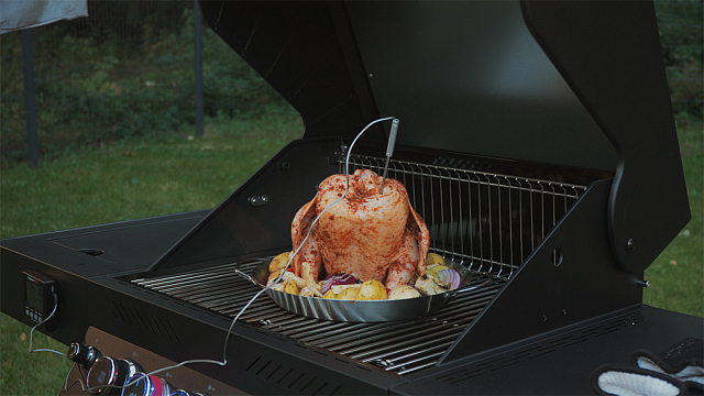 Ростер для курицы Primeliner