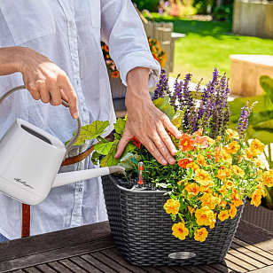 Кашпо с автополивом Lechuza Bacino Cottage Цвет: белый, уличное оборудование