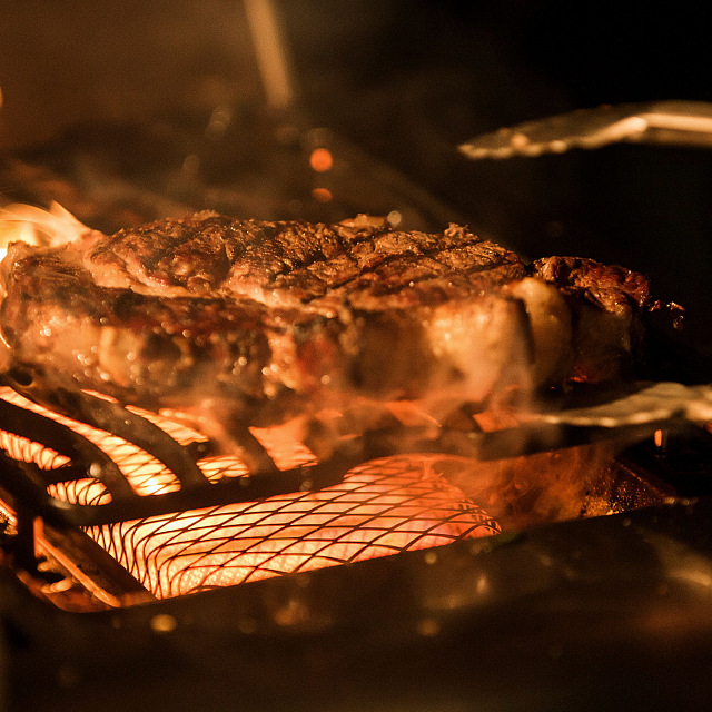 Гриль газовый Napoleon LEX-730