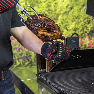 Вертел универсальный Char-Broil электрический 220В для сада