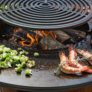 Решетка гриль OFYR 100