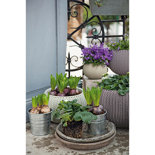 Кашпо Keter Cozies S подвесное Цвет: коричневый, уличное оборудование