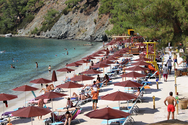 Зонт профессиональный Theumbrela Kiwi Ø225 