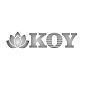 Инфракрасная сауна KOY H01-JK71