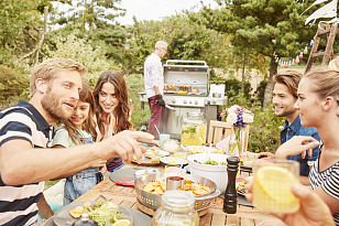 гриль газовый weber genesis ii sp-435 gbs