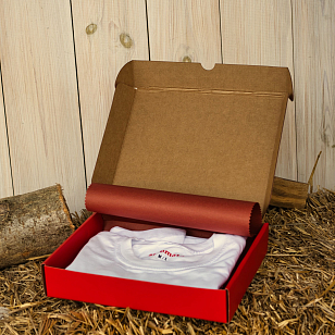 Одежда и аксессуары Футболка St.Tomato с двухсторонней печатью Serial griller M/L для BBQ