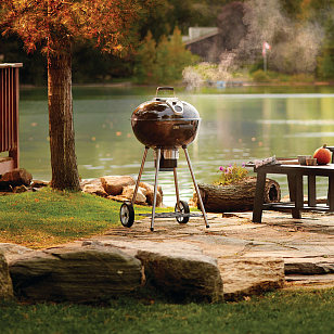 угольный гриль napoleon nk22k-leg-2