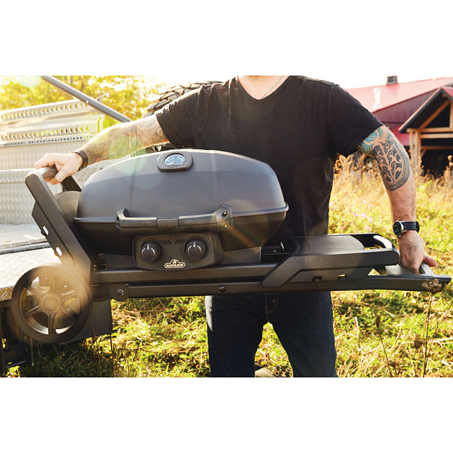 гриль газовый napoleon travelq pro 285x phantom