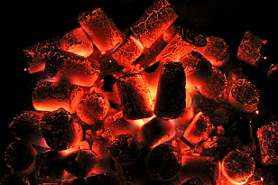 Угольные брикеты Foresta 3 кг для сада