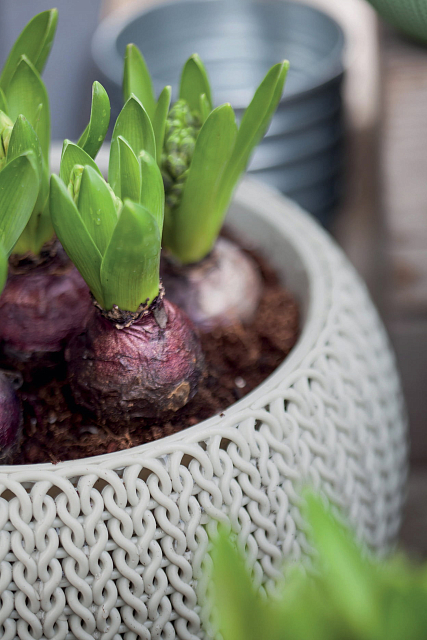 Кашпо Keter Cozies S подвесное Цвет: серый 