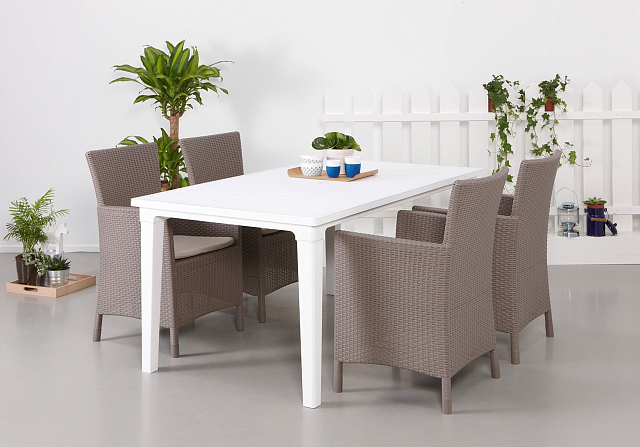 Кресло обеденное Keter Iowa капучино 