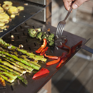 Дровяной гриль NOX BBQ 01 для сада