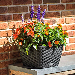 Кашпо с автополивом Lechuza Bacino Cottage Цвет: белый, уличное оборудование