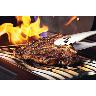 гриль газовый napoleon phantom prestige 500