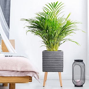 Кашпо Idealist Lite Таун Куб напольное с подставкой 37 Цвет: черный, уличное оборудование