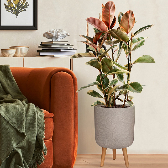 Кашпо Idealist Lite Урбан напольное круглое с подставкой D46 Цвет: серо-коричневый 