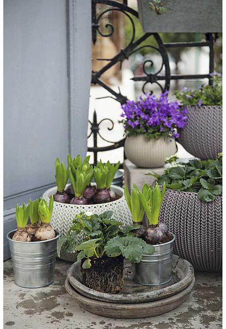 Кашпо Keter Cozies M подвесное Цвет: серый 