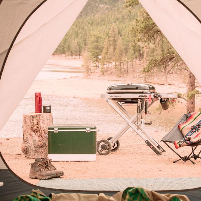 гриль газовый на подставке weber traveler