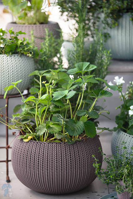 Кашпо Keter Cozies M подвесное Цвет: коричневый 