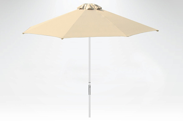 Зонт профессиональный Theumbrela Kiwi Ø225 