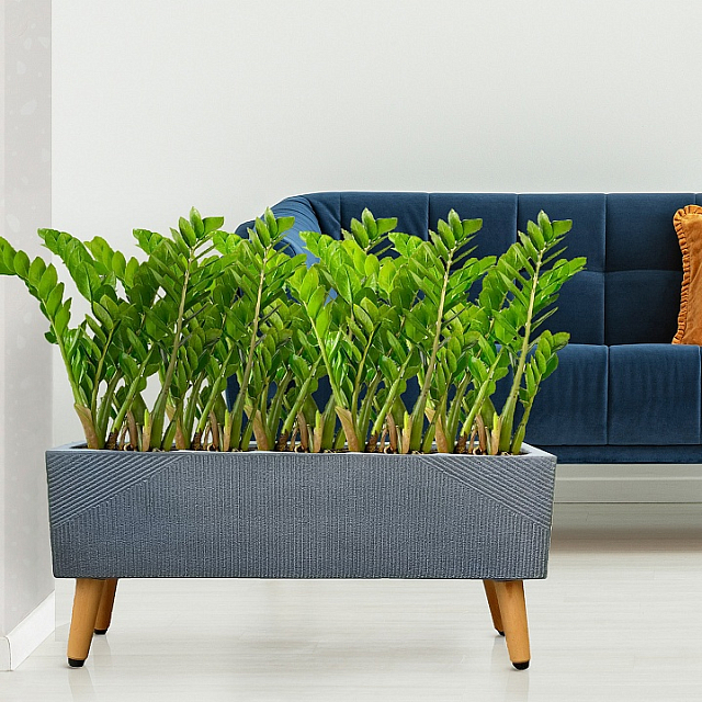 Кашпо Idealist Lite Урбан напольное прямоугольное с подставкой 58 Цвет: антрацит 