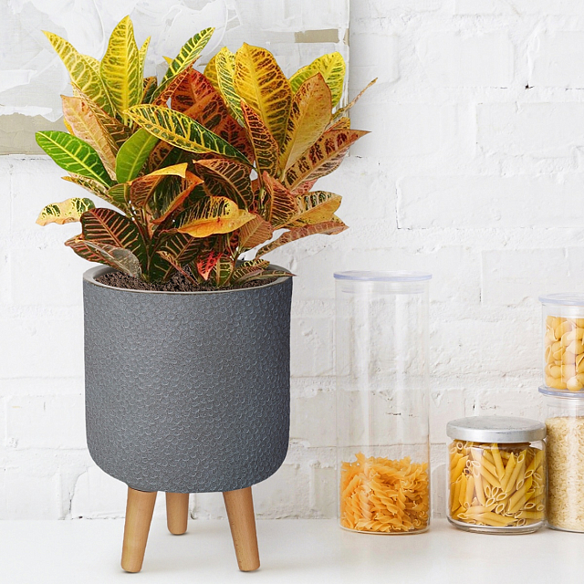 Кашпо Idealist Lite Урбан настольное круглое с подставкой D24 Цвет: антрацит 