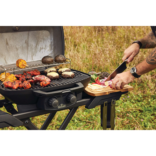 гриль газовый napoleon travelq pro 285x phantom