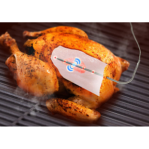 Термометр цифровой для гриля Char-Broil беспроводной для приготовления пищи Термометр цифровой для гриля Char-Broil беспроводной для сада