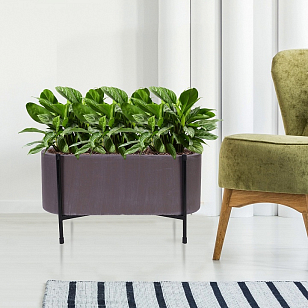 Кашпо Idealist Lite Таун Куб напольное с подставкой 44 Цвет: кофе, уличное оборудование