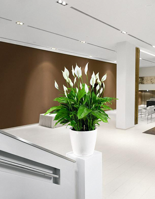 Кашпо с автополивом Lechuza Classico 21 LS Цвет: белый 