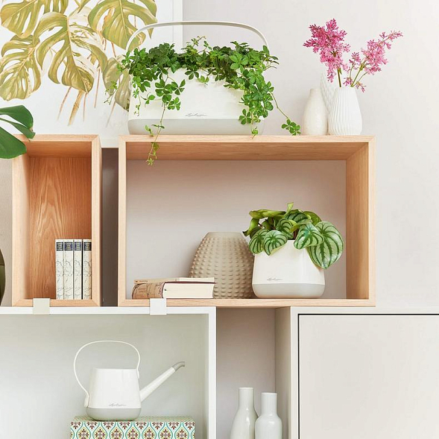 Лейка Lechuza Yula 40 Цвет: белый/серый 