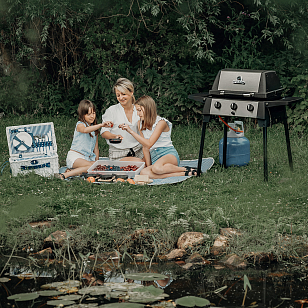 Гриль газовый Broil King PortaChef 320 для приготовления пищи гриль газовый broil king portachef 320