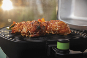 Электрический гриль Napoleon TravelQ 285X PRO для сада