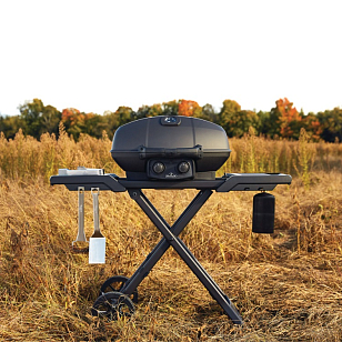 Гриль газовый Napoleon TravelQ PRO 285X Phantom для приготовления пищи гриль газовый napoleon travelq pro 285x phantom