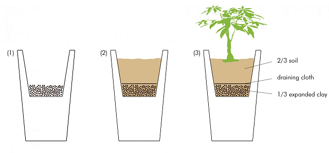 Кашпо-ограждение Bamboo Standard Цвет: коричневый 