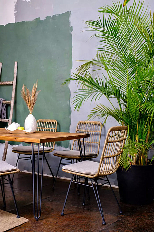 Обеденный стул Joygarden Charlotte, садовая мебель