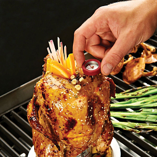 Ростер для курицы с термометром Broil King для приготовления пищи Ростер для курицы с термометром Broil King для сада