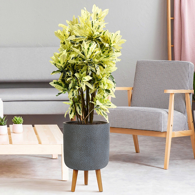 Кашпо Idealist Lite Урбан напольное круглое с подставкой D46 Цвет: антрацит 