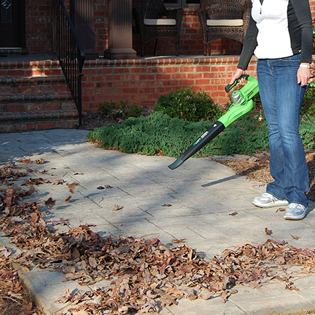 Воздуходув аккумуляторный Greenworks 24V G24BL 