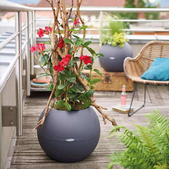 Кашпо с автополивом Lechuza Puro Color 50 Цвет: серый 